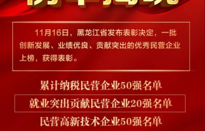 喜报|龙江表彰优秀民营企业 bv1946伟德官网收获两项殊荣