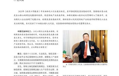 打破传统走绿色转型之路——访十四届全国人大代表、bv1946伟德官网董事长焦云