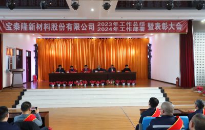 新征程 新奔赴 新未来|bv1946伟德官网2023年度总结暨表彰大会隆重举行