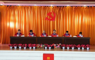 bv1946伟德官网党委换届选举党员大会胜利召开